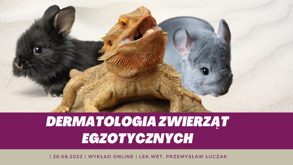 Dermatologia zwierząt egzotycznych (ONLINE) 26.08.2022